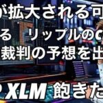 リップル XLM の価格に飽きてきたわ！　リップルのCLO(最高財務責任者)が米国SEC控訴裁判の行方について言及