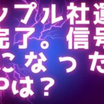 リップル社運用準備完了。残すは規制当局の承認のみ / トランプ急伸、ハリス失速 /  信号が青になったらXRPは？ / リセットはもうすぐそこ