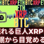 スリーピング・ジャイアントXRPが冬眠から目覚め始めました！ 今後のブルランで到達する可能性があるのはここです！- BTC XRP #xrp #リップル #xrp リップル