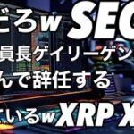 ビットコインにお金が流れてるからXRP XLMは弱いというか歩いてるw 米国SECのゲイリーゲンスラー委員長は米大統領選挙後は喜んで退任する