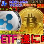 リップル（XRP）ETFを遂に申請！日本の仮想通貨税制が20％に！650億円のロスカットあるもV字回復の可能性大！１０月のお熱い時間がやってきた！