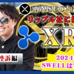 【投資】XRP特集！再びSECとリップル社法廷闘争となるのか！？