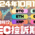 リップルXRP投資家、SECよりフォームCの提出がないとのことで混乱！本当の期限は明日13時！？【投資VLOG】