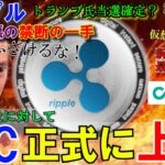 リップル（XRP）SECが最低最悪の一手！正式に上訴！トランプ氏大統領はほぼ確定⁉ゲンスラー解任⁉新規取引所COIN8のイベントが熱い！