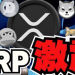 【🔥XRP×イーロン】今話題沸騰！真実は？今後上がるの？／SONYが関わるミームコイン爆誕！まさかのサルゲッチュ／ドージコインまだ上昇！イーロン効果絶大！
