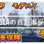【テスラ】【モデルY】テスラ購入前必見！自動車保険おすすめは？！【Tesla】【Model Y】