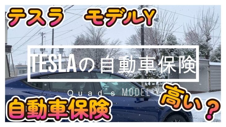 【テスラ】【モデルY】テスラ購入前必見！自動車保険おすすめは？！【Tesla】【Model Y】