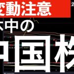 【変動注意】日本はお休みの間の中国株に注目！