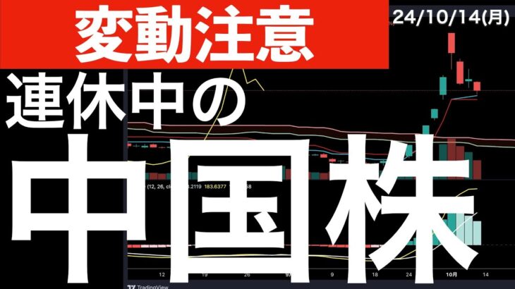 【変動注意】日本はお休みの間の中国株に注目！