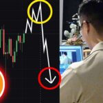 興奮しているお前は、猿