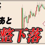 ビットコインはここから軽い下落が起こる理由【ナスダック,日経平均,ゴールド】