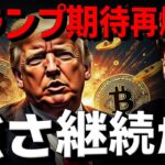 ビットコイン強さ継続か。トランプ氏への期待が再燃！！