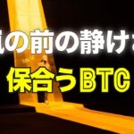 嵐の前の静けさ。保合うビットコイン