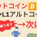 052 【ビットコイン10万ドル目前！】ビットコイン→L1アルトコイン→次は⁉　歴史は繰り返す | Satoru-仮想通貨チャンネル