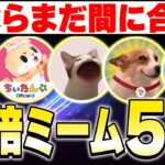 今ならまだ間に合う！資産を10倍にするミームコイン5選👍【仮想通貨バブル】【ビットコイン】【BTC】【イーサリアム】【ETH】【Solana:ソラナ】【SOL】【スイ】【SUI】