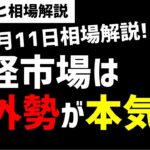 【11月11日のゆるっと相場解説】日経平均株価は海外勢がここから本気買いしてくるのか？ズボラ株投資