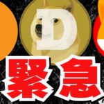 【🔥11/11億犬乱舞】ビットコイン過去最高値更新！8万ドル／SUI、XRPが上昇！懸念は？／ドージコインが止まらない！SHIB、FLOKIも！犬系ミームが大躍進！もう楽しい！！