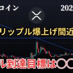 11/29 仮想通貨相場分析 爆上がりが止まらないリップル！もうまもなく飛びます　BTC、ETH、SOL、SUI、XRP、DOGE、ADA、AVAX、GOAT、BRETT、GOLDチャート分析
