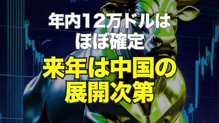 年内12万ドルはほぼ確定、来年は中国の展開次第