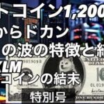 ビットコイン高値圏からのドカン！1,200万円を付ける！BTC XRP XLM ドージコインチャート分析