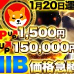 【仮想通貨】1月20日XRP爆上げ来る！？イーサリアムは1500万円まで急上昇！SHIBは3,800万SHIBトークンを燃やして爆上げ準備完了！（BTC、ETH、XRP、SHIB、TON、TRX）