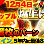 【仮想通貨】12月4日リップル（XRP）に爆上げ確定！？シバコインは12億SHIBをバーンで5年以内に最低8倍の上昇を目指す！（BTC、ETH、XRP、SHIB）