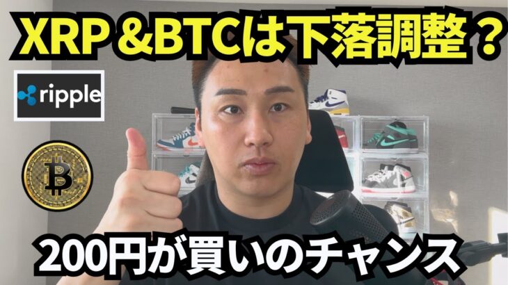 リップルとビットコインは下落調整か？200円は確実に買いのチャンスだよな！