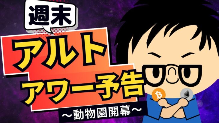 2024年11月16日｜ビットコインの強さを再確認、週末アルトコインアワーの予感です