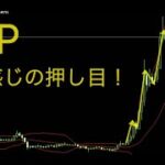 リップルはまだまだ上昇目線！下がったら買っていくところ。アルゴランドの相場解説です。2024年11月25日17時