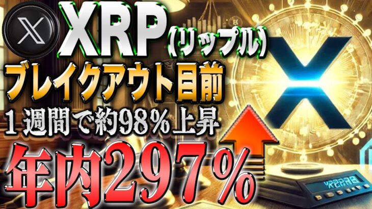 リップル297％上昇へ！年内最後の大幅高騰か！？最強の自動ツールをプレゼント！【仮想通貨】【シバコイン】【イーロンマスク】【ビットコイン】【SHIB】【XRP】【DOGE】【リップル】