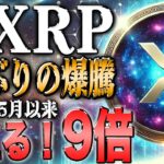 リップルしか勝たん！3年ぶりの高騰！狙うは過去最高値！！最強ツールプレゼント実施中！！【ビットコイン】【イーサリアム】【シバコイン】【shib】【ドージ】【リップル】【XRP】【doge】【仮想通貨】