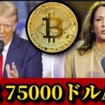 【ビットコイン史上最高値更新】75000ドル突破。トランプ優勢もハリス猛追の可能性。政治系ミームコインが数千種類発行される。米大統領選挙後は急落？投開票中のイーサリアムその他アルト仮想通貨市場