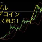 アルゴランドは一足早めに上昇！リップルとADAコインの相場を解説しました。2024年11月27日17時