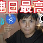 ビットコイン連日最高値更新、複数アルトコインもATH間近【仮想通貨 暗号通貨 暗号資産 BTC ETH XRP BNB SOL ADA TRX APT INJ 他】