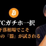【BTC短期調整もガチホ一択】　下落相場こそ！その人の『器』が試される　【仮想通貨・ビットコイン相場分析】