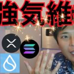 ビットコイン強気維持、ソラナやリップルまだ上がる？【仮想通貨 暗号資産 暗号通貨 BTC ETH SOL BNB DOGE SUI 他】