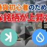 【仮想通貨初心者向け】長期的にどんな銘柄が上昇するのか解説【BTC,KAS,ETH,SUI,ADAの魅力】