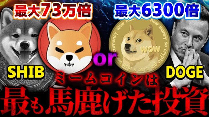 DogeとSHIBこのどちらかがやばい展開になります！【仮想通貨】