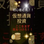 【初心者必見】仮想通貨投資ここをまず気をつけろ！　#仮想通貨　#ビットコイン　#ビットコイン初心者　　動画生成　NoLang （no-lang.com）VOICEVOX 玄野武宏