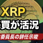 【リップル予想】SECの仮想通貨規制に対して提訴｜XRP急騰で流れが変わる可能性