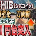 シバコイン高騰ファンダ続出！ドージ超えか！？延長！最強の自動ツールをプレゼント！【仮想通貨】【シバコイン】【イーロンマスク】【ビットコイン】【SHIB】【XRP】【DOGE】【リップル】