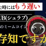【仮想通貨】SHRUBとは？イーロン・マスクが注目する新ミームコインが3000%急成長！その理由とは？