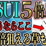 $SUIはここから５倍はいく！！初心者でも分かる！可能性しかないSUIの将来性と草コインについて解説！#ビットコイン #bitcoin #btc