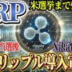【リップル/X決済】※トランプ当選確率99％※ イーロン効果でXRPを筆頭に市場爆上げ!! #xrp #リップル