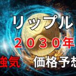 XRP　リップル　２０３０年　強気価格予想