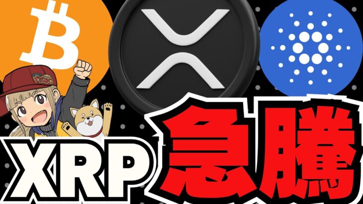 【🔥XRP急騰】ビットコイン過去最高また更新！次に上がるのは？／完全に仮想通貨バブル！今、アルトコインが熱い／ドージコインがイーロンのおかげでまた急騰？