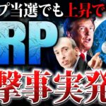 【リップル(XRP)】ホルダー必見！トランプ氏当選でも上昇しない衝撃の真相とは!?来年以降の価格推移を徹底解説【仮想通貨】