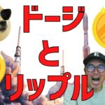🔥XRPリップルは強気相場突入かぁ〜!!!!🔥高騰しているドージコインは何処で押し目を形成するか徹底📈分析😗