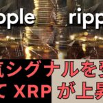 強気シグナルを受けて XRP が上昇！- BTC XRP #xrp #リップル #xrp リップル