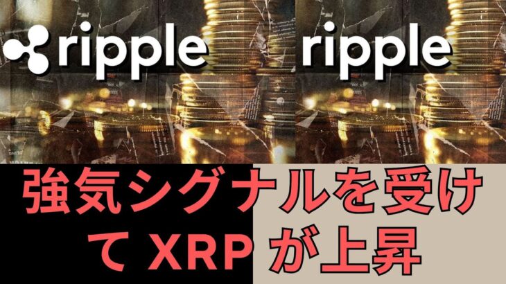 強気シグナルを受けて XRP が上昇！- BTC XRP #xrp #リップル #xrp リップル